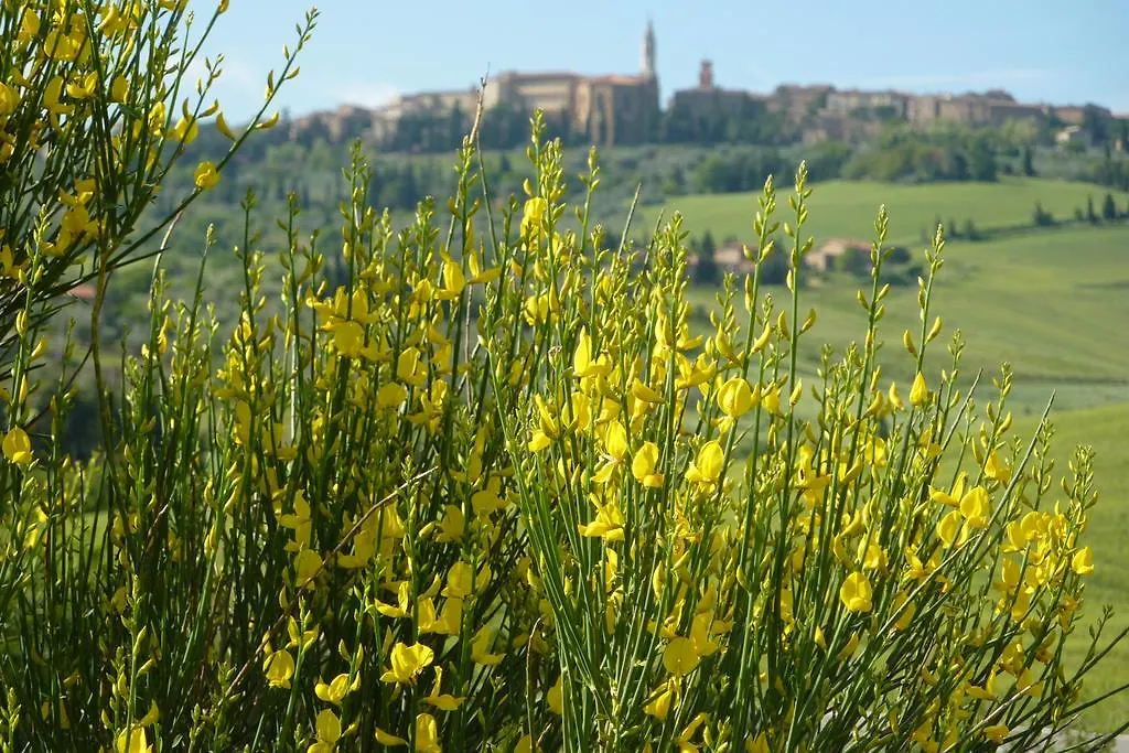 Camere Andrei Pienza 3*,  Italy
